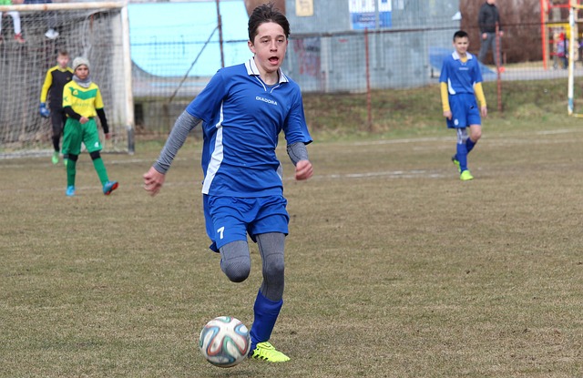 质和战术能 质和战术能