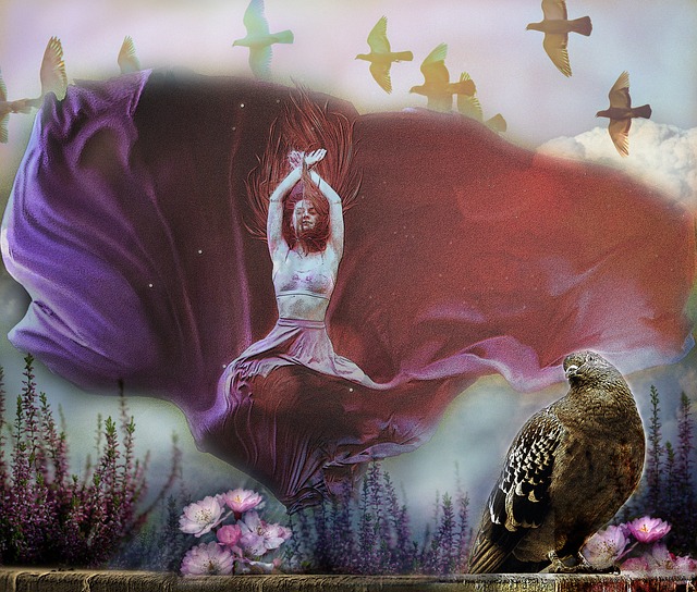 浓眉哥加盟 浓眉哥加盟