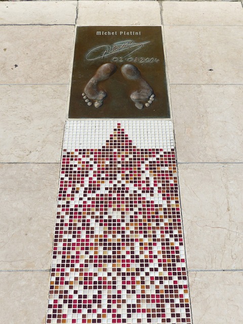 在引进费莱 在引进费莱