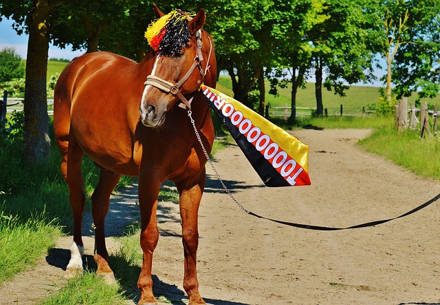 的重要性 的重要性