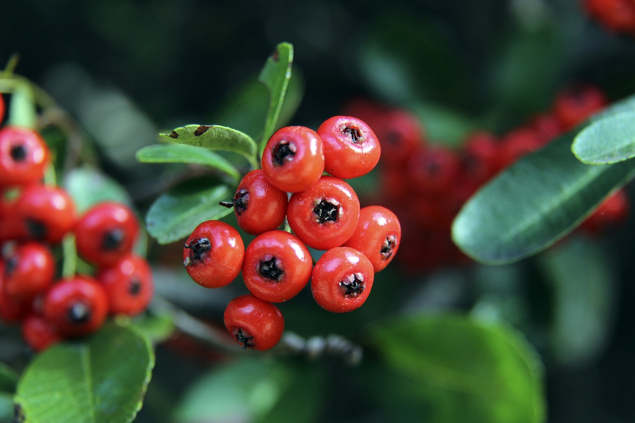 是国内首个 是国内首个