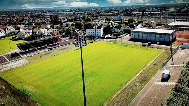 休息和炎症 休息和炎症